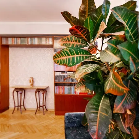 Anna Apartment